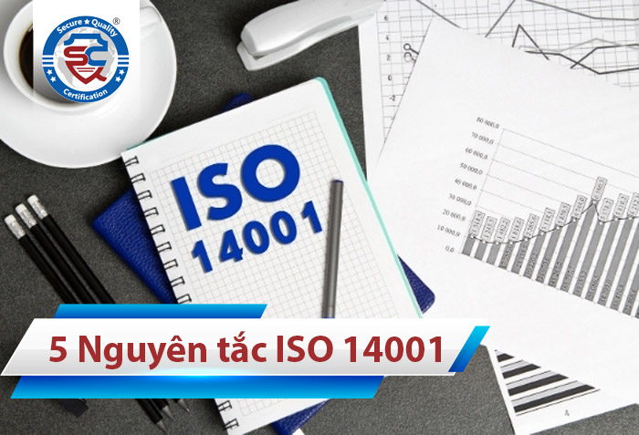 5 nguyên tắc cơ bản của ISO 14001:2015