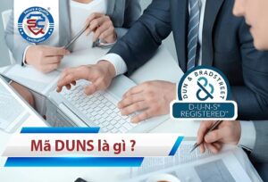 mã duns là gì ? cách đăng kí mã duns