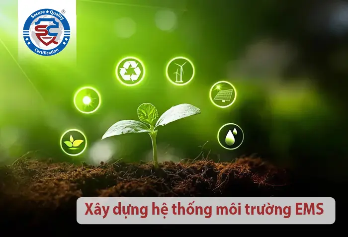 triển kahi hệ thống EMS