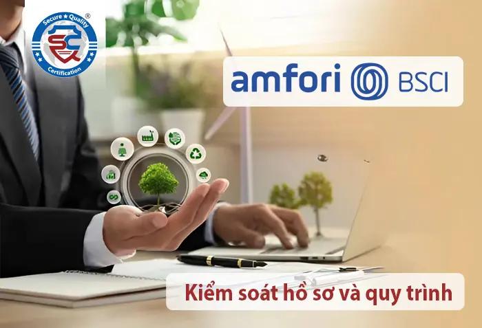 Kiểm soát hồ sơ và quy trình: