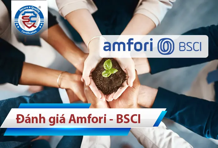 đánh giá bsci