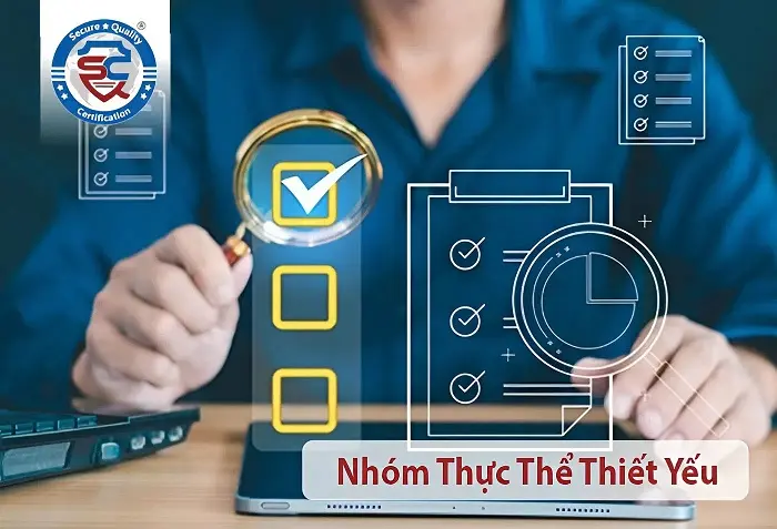 nhóm thực thể thiết yếu